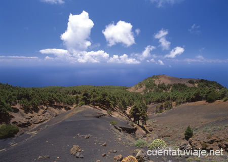 El Pinar. El Hierro.